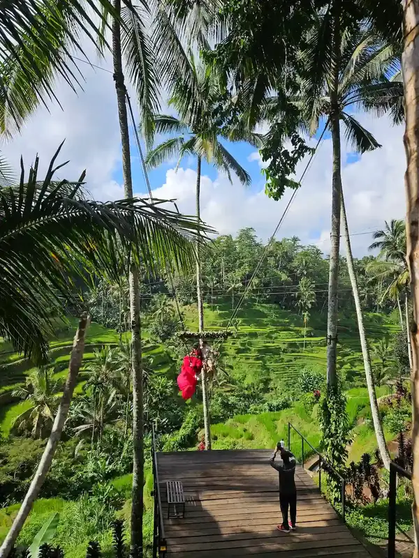 Private multi-day journey through Ubud and Bali